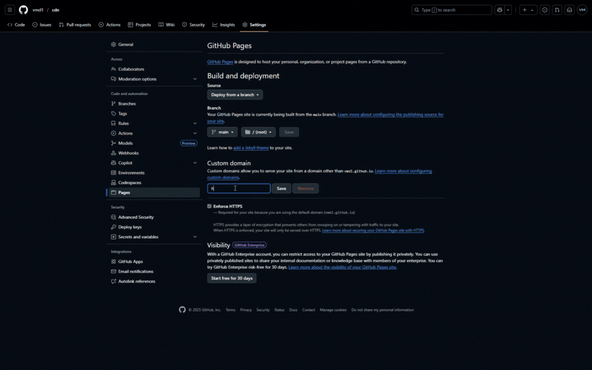 Set the domain in GitHub Pages.gif
