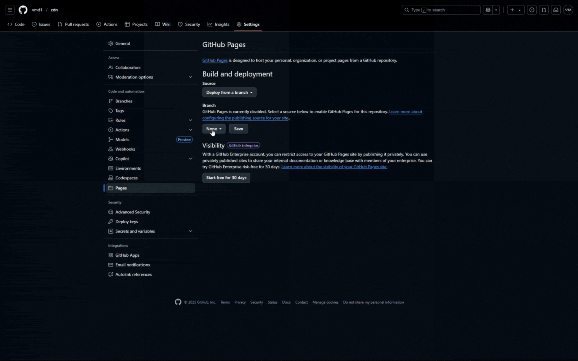 Enable GitHub Pages.gif